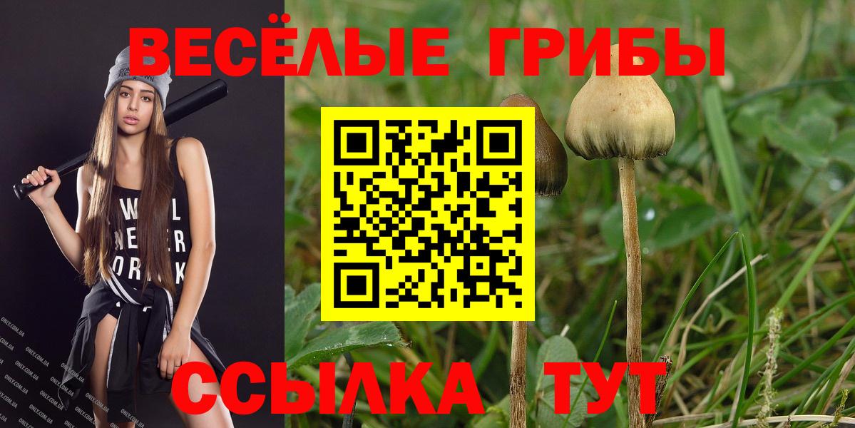 Псилоцибиновые грибы мухоморы  Вход с VPN  Тында  Псилоцибиновые грибы MAGIC MUSHROOMS 